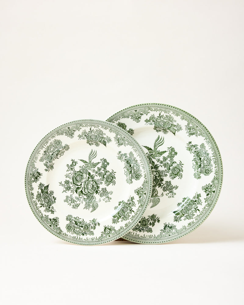 Vintage Transferware Dinner Plate