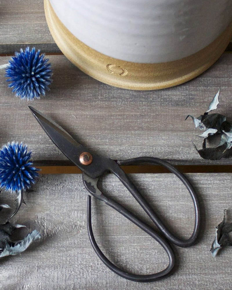 Forged Steel Scissors