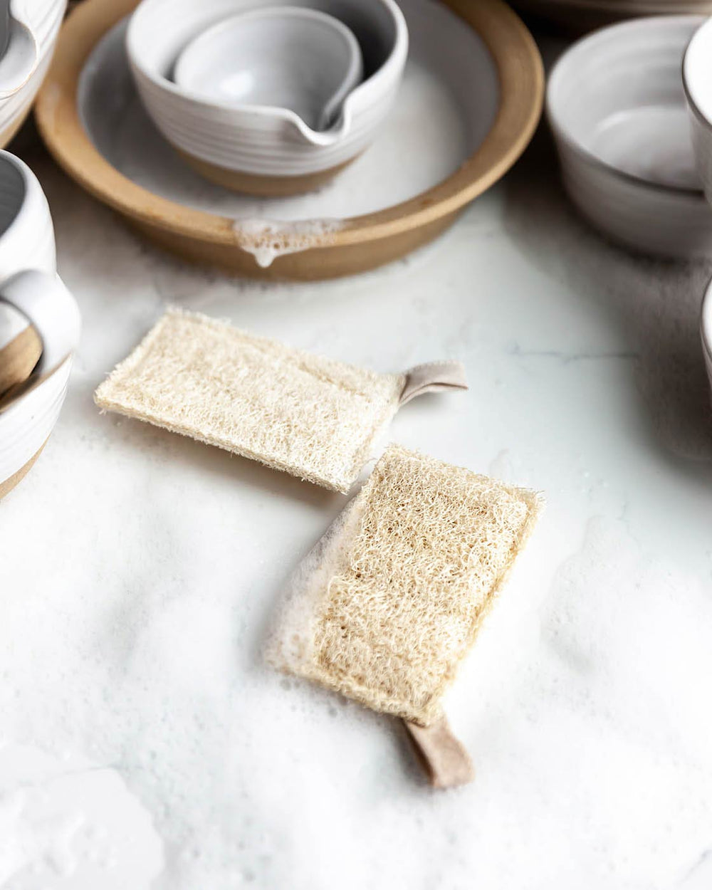Loofah Scouring Pad Set