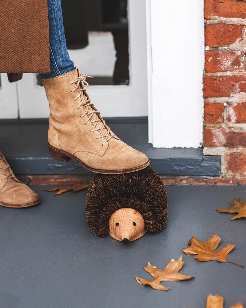 Hedgehog Shoe Brush