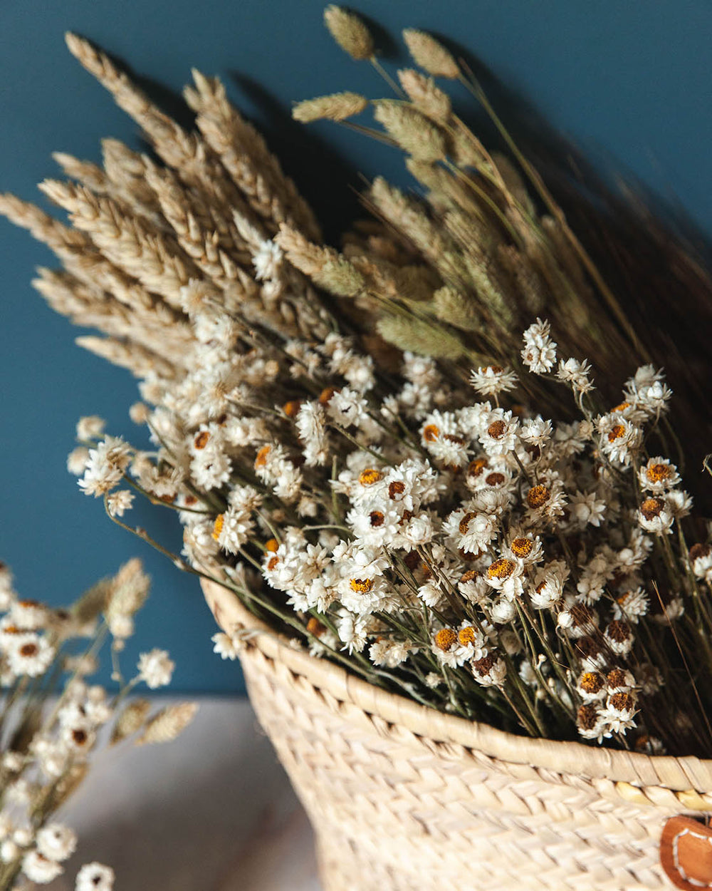 Dried Petite Daisy Bundle