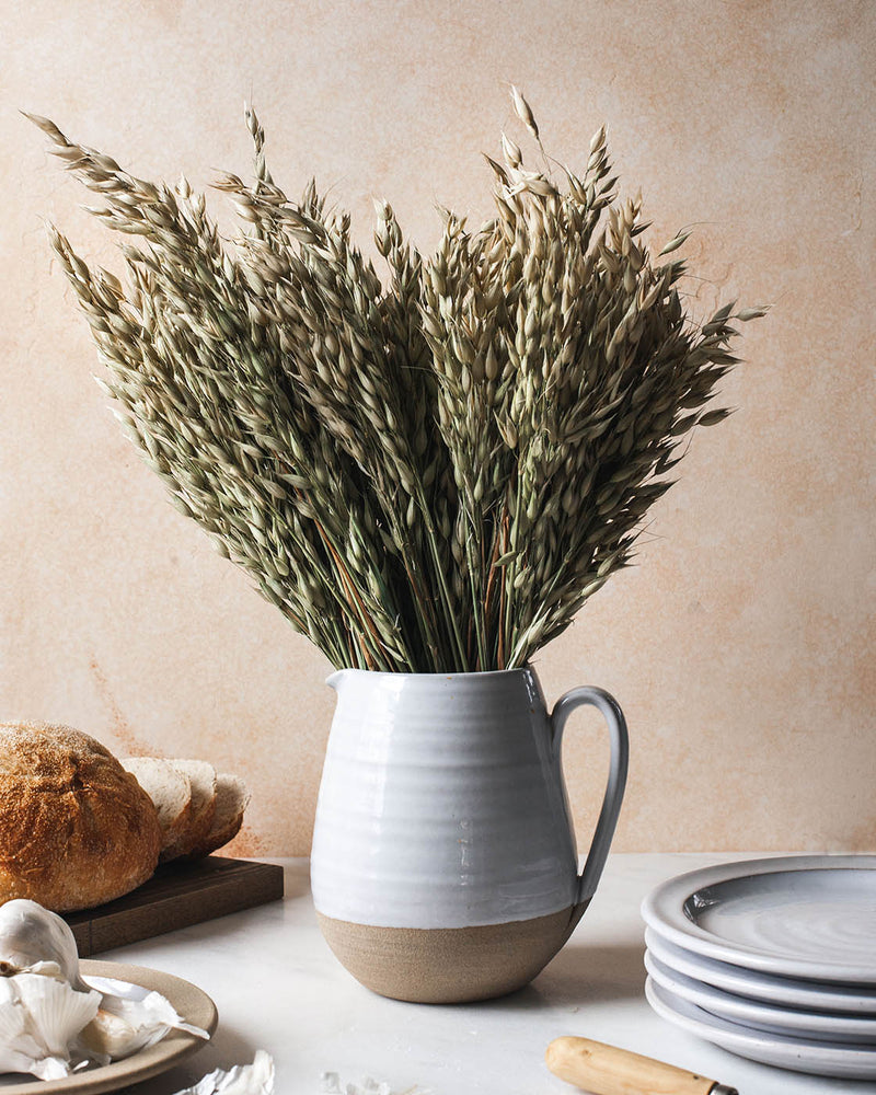 Dried Avena