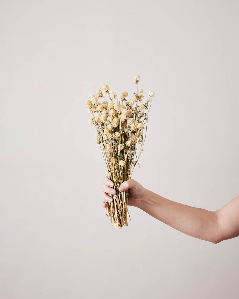 Natural Dried Amaranth