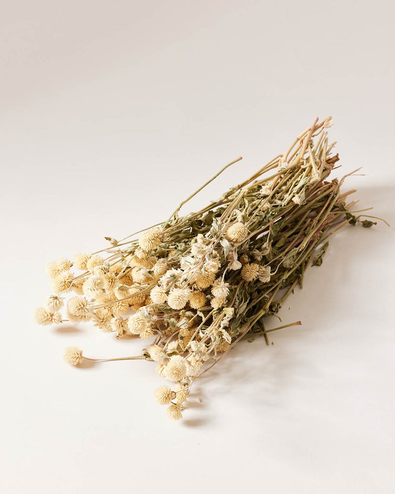 Natural Dried Amaranth