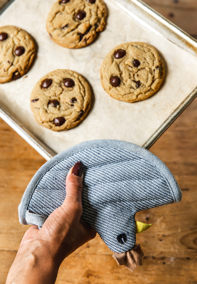 Homestead Hen Potholder