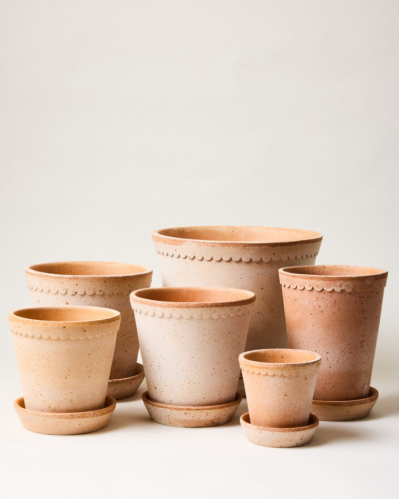 Scalloped Terracotta Garden Pot and Saucer