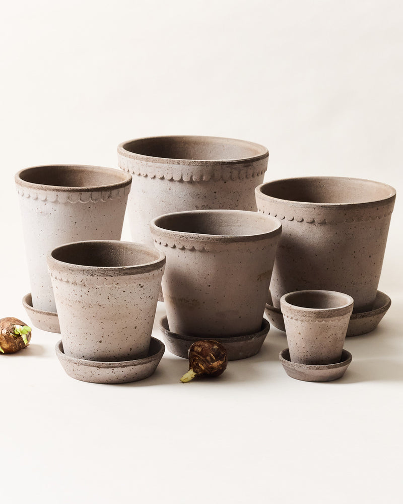 Scalloped Terracotta Garden Pot and Saucer - Grey