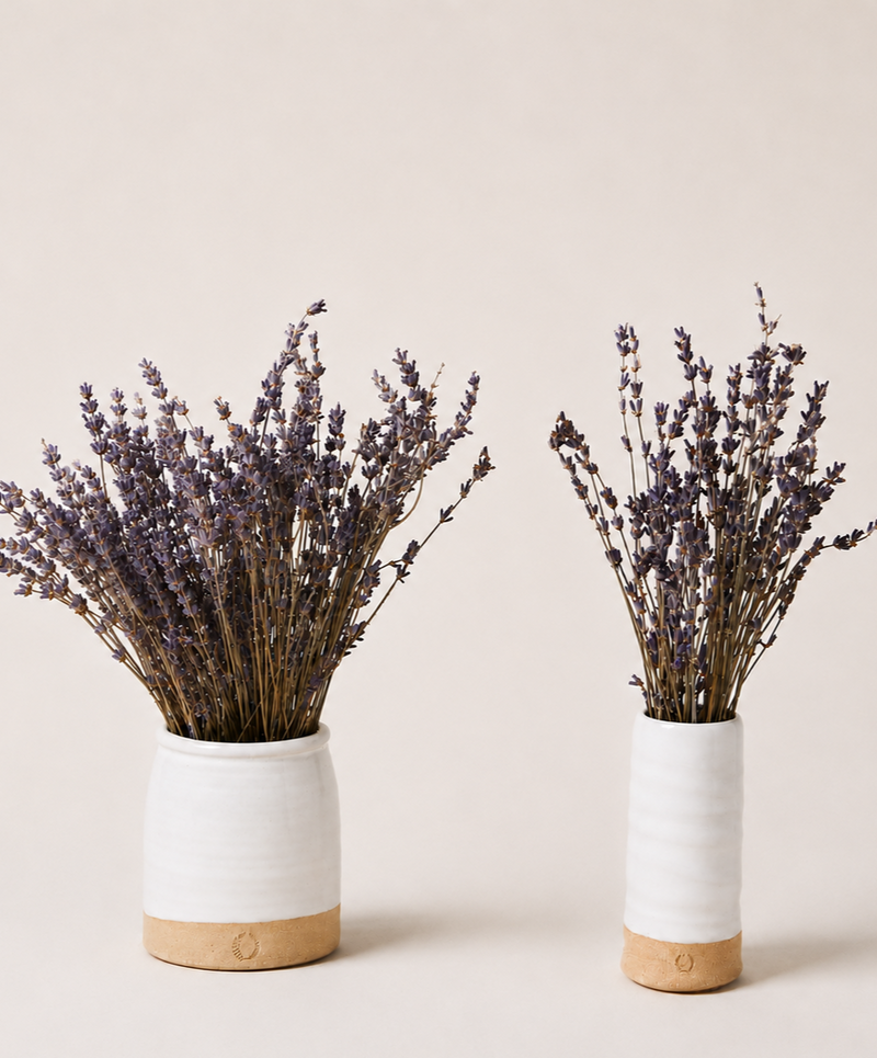 Lavender Vase Set