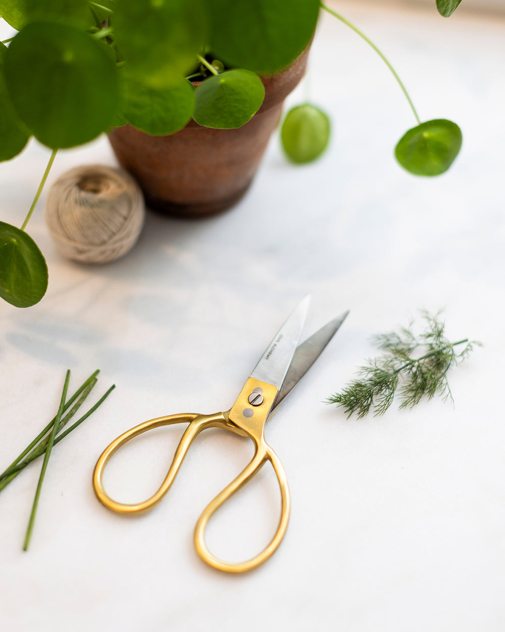 Brass & Steel Utility Shears