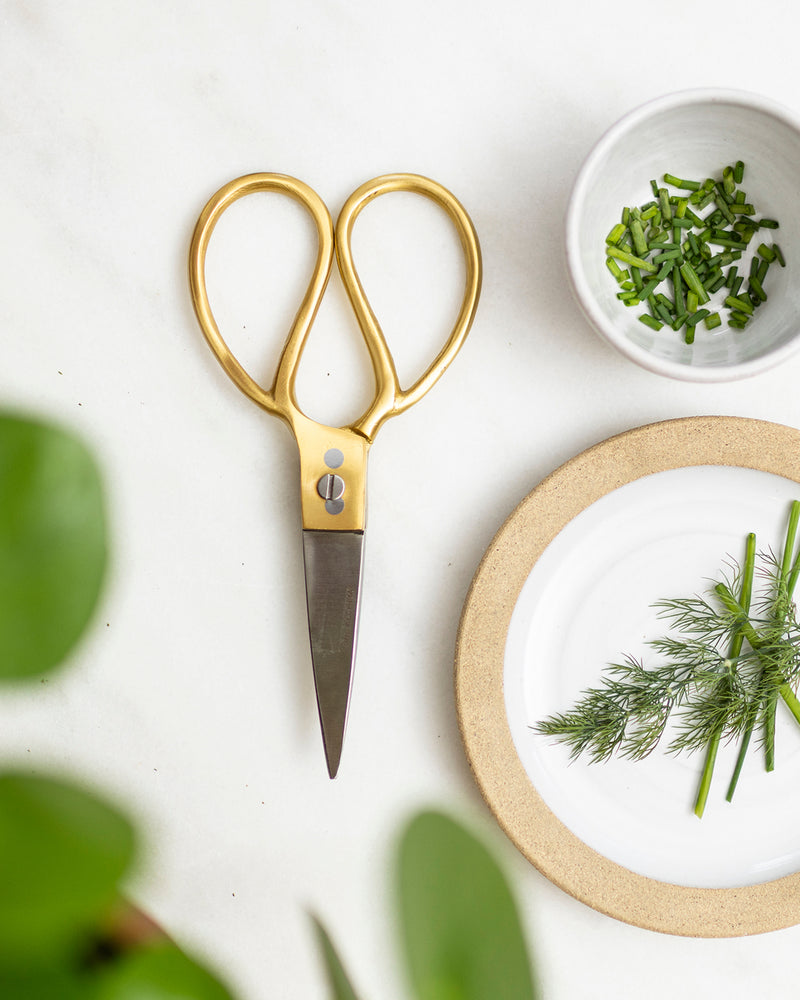 Brass & Steel Utility Shears