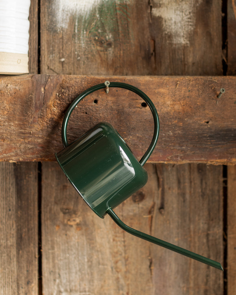 Loopy Watering Can