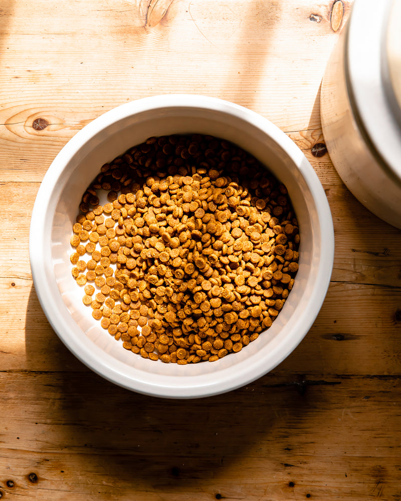 Laurel Dog Bowl