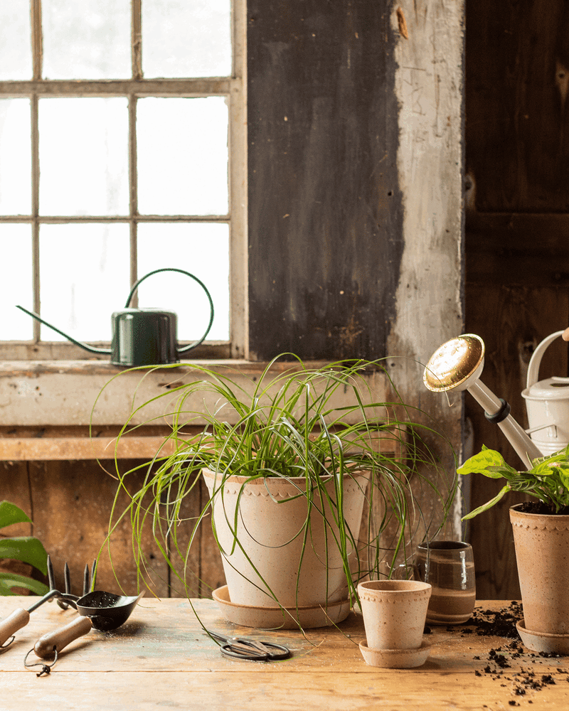Farmer's Enameled Watering Can