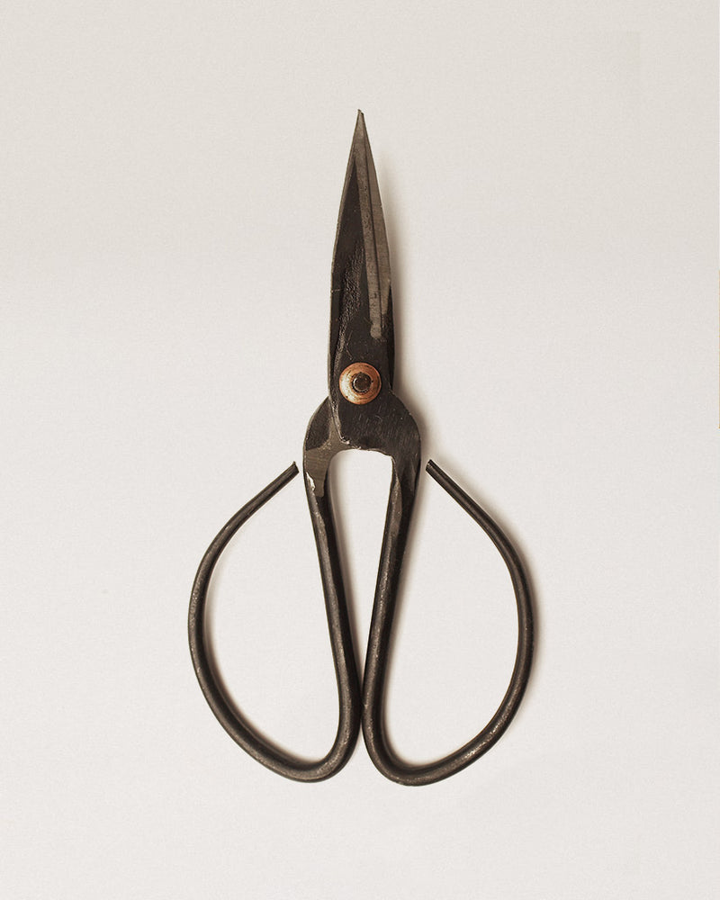 Forged Steel Scissors
