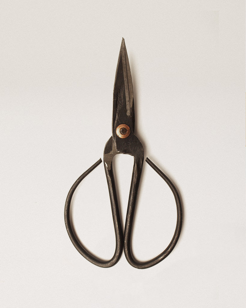 Forged Steel Scissors