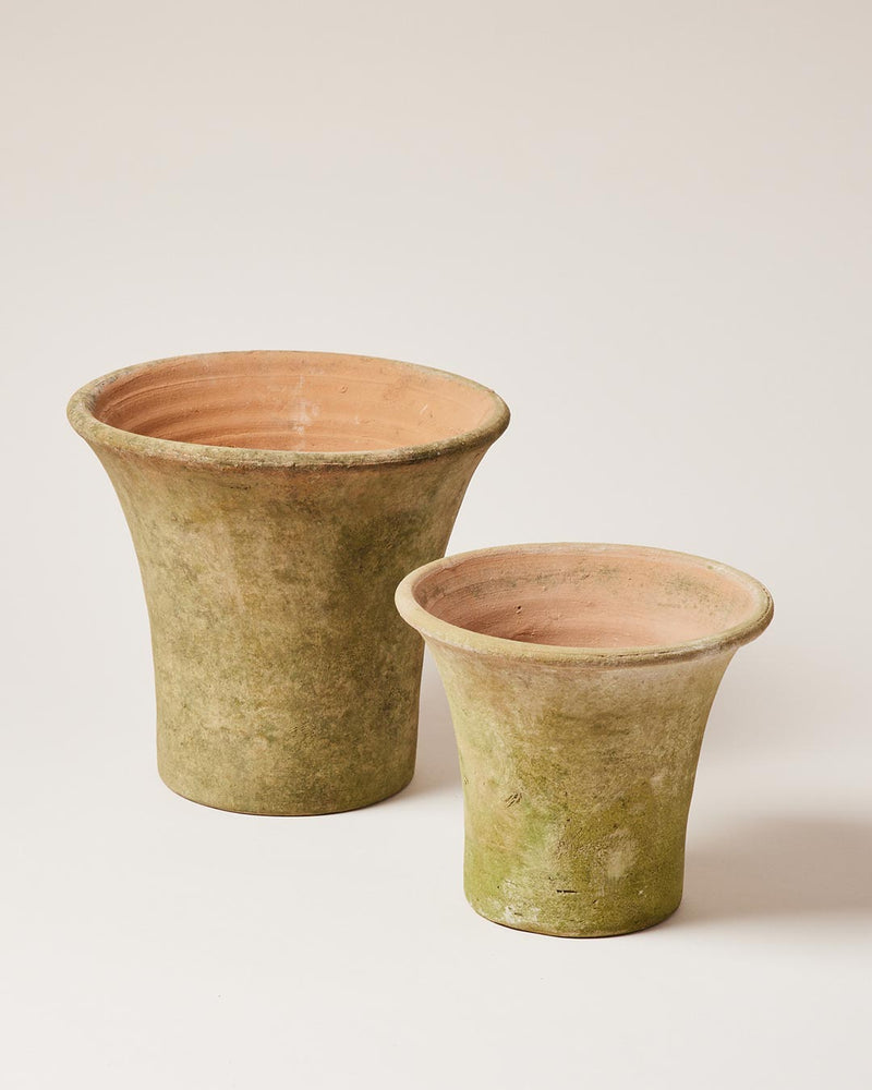 Aged Terracotta Garden Pot - Flared