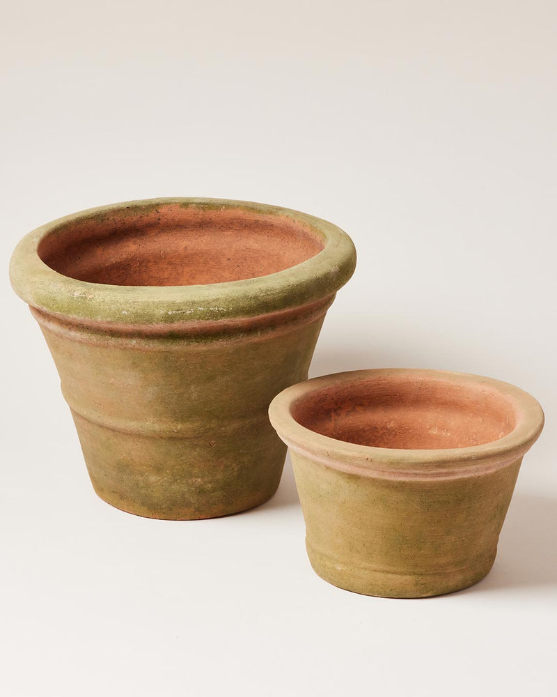 Aged Terracotta Garden Pots - Ridgeline