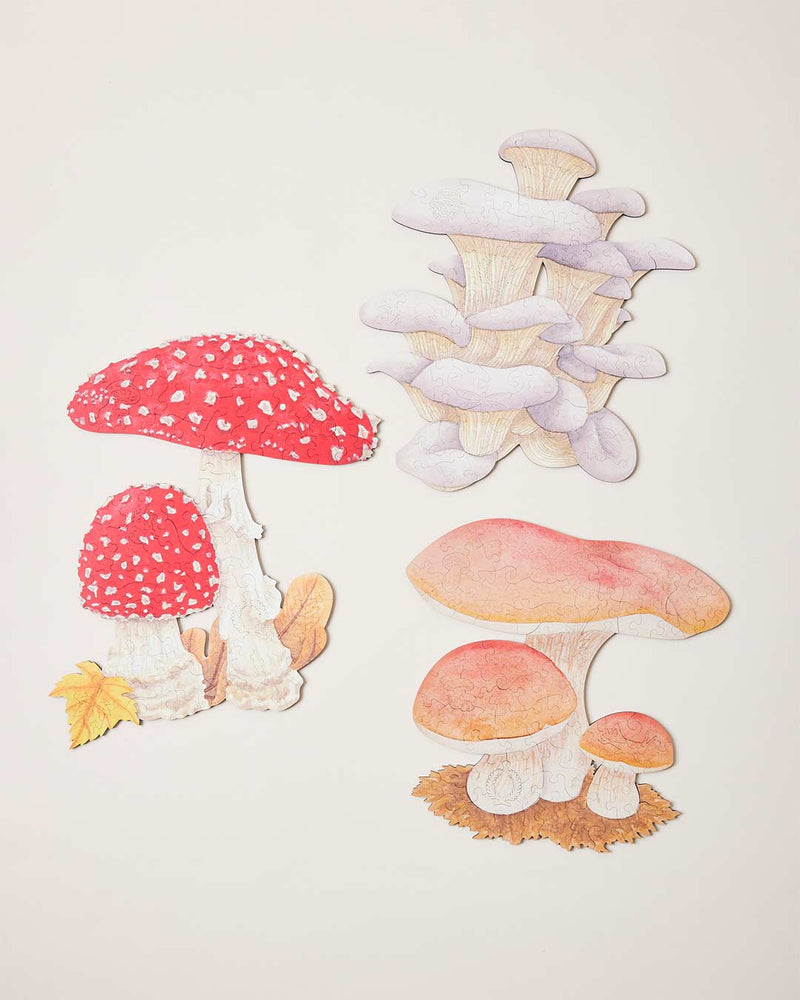 Forager Puzzle